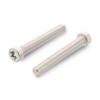 Рекомендуем купить ISO 14580 A2 M4X10 TX20