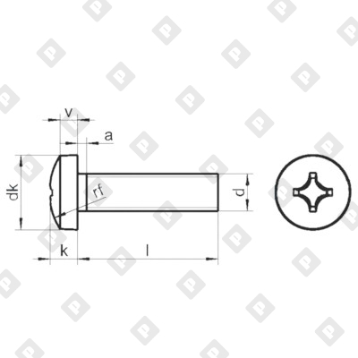 Винт DIN 7985 M6x30 с полуцилиндрической головкой и крестовым шлицем PH, кл. пр. 4.8, оц. сталь - №2